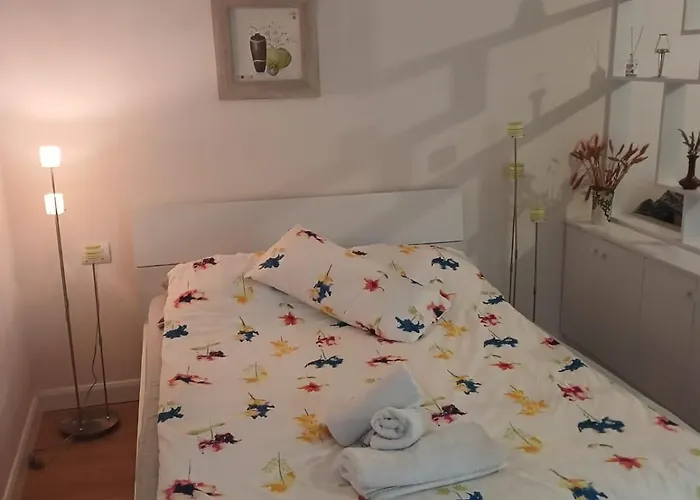 Dream 公寓 地拉那